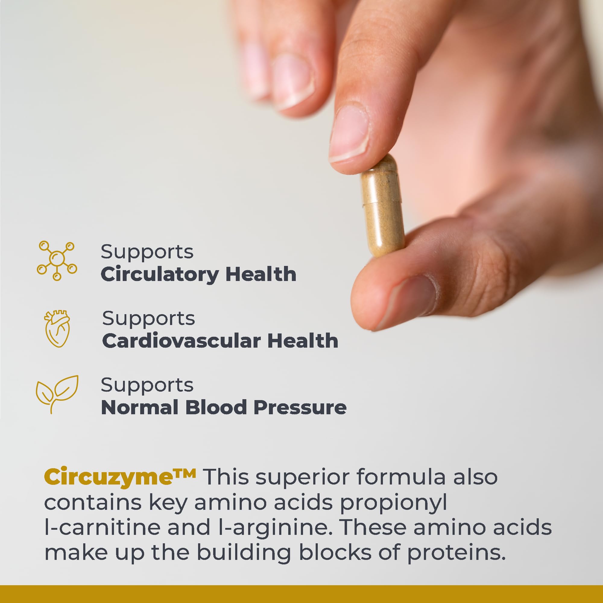 Premier Research Labs CircuZyme nattokinase enzyme for vascular comfort