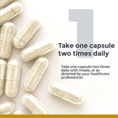 Premier Research Labs daily-use capsules ready to support relaxation and focus.