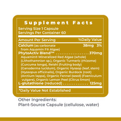 Premier Research Labs Glutathione Complex packaging on kitchen counter signaling convenient vegetarian capsules.