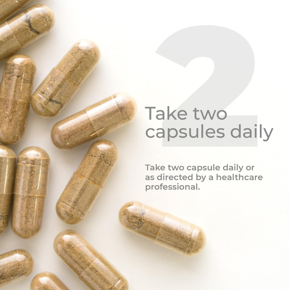 Premier Research Labs Olive Leaf Immune graphic explains oleuropein concentration per capsule.