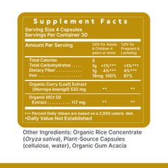 Premier Research Labs Phyto-Iron packaging showing 18 mg iron per serving.