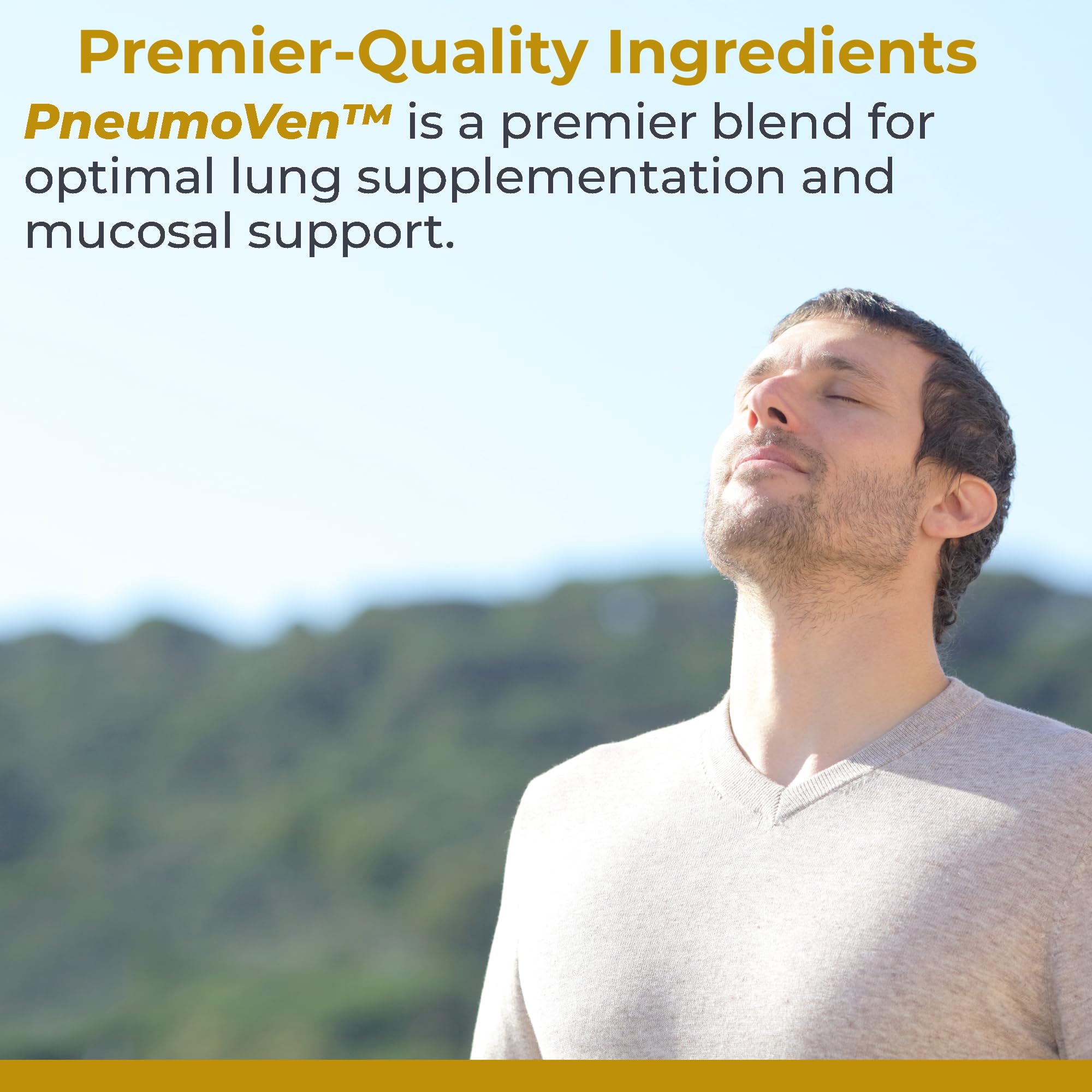 PneumoVen bromelain source image, emphasizing pineapple enzyme for gentle inflammation support.