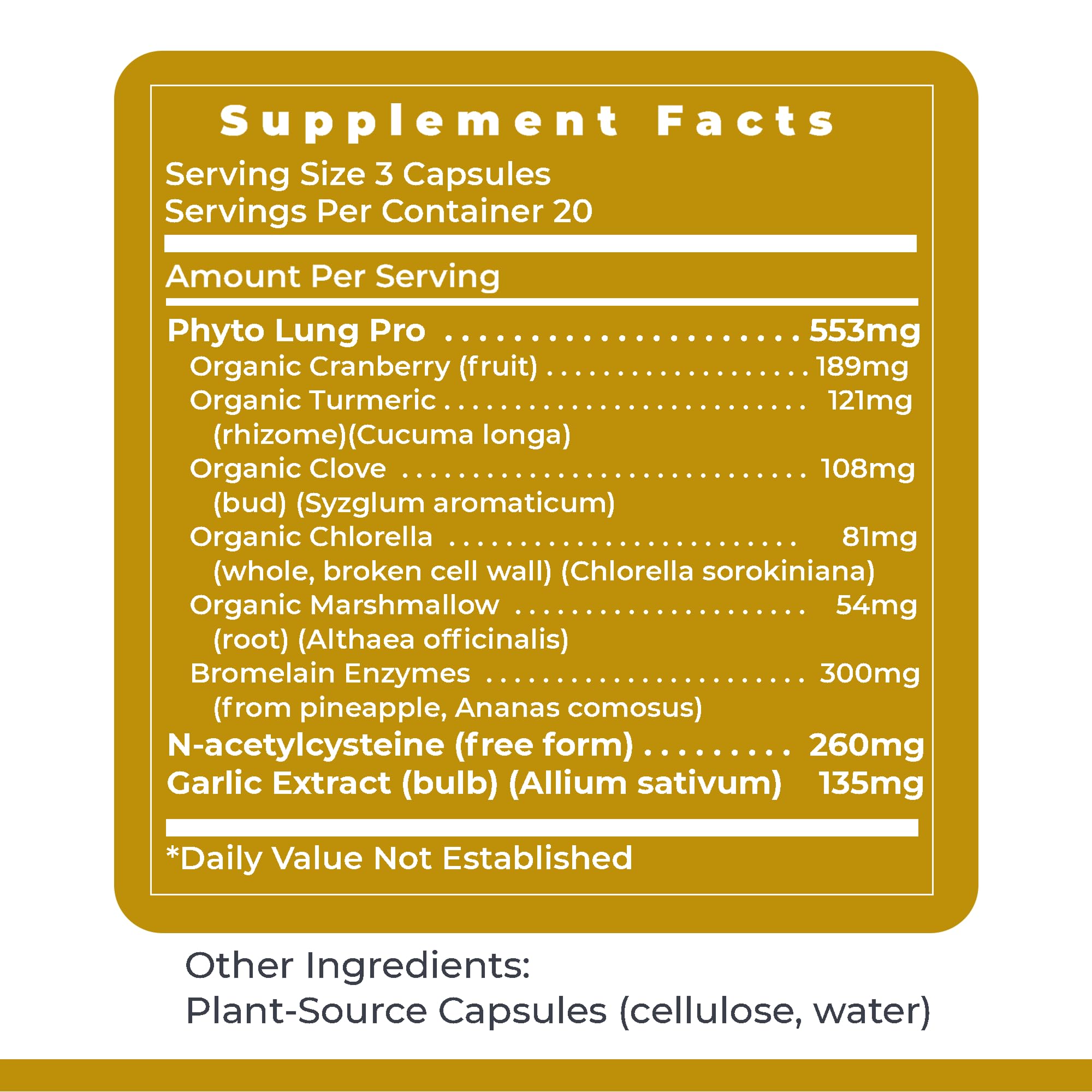 Daily PneumoVen use shown with morning routine for lung wellness.