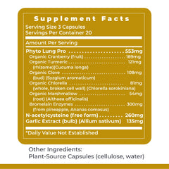 Daily PneumoVen use shown with morning routine for lung wellness.