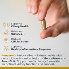 Cranberry and alfalfa ingredients on RenaVen label suggesting herbal kidney support.
