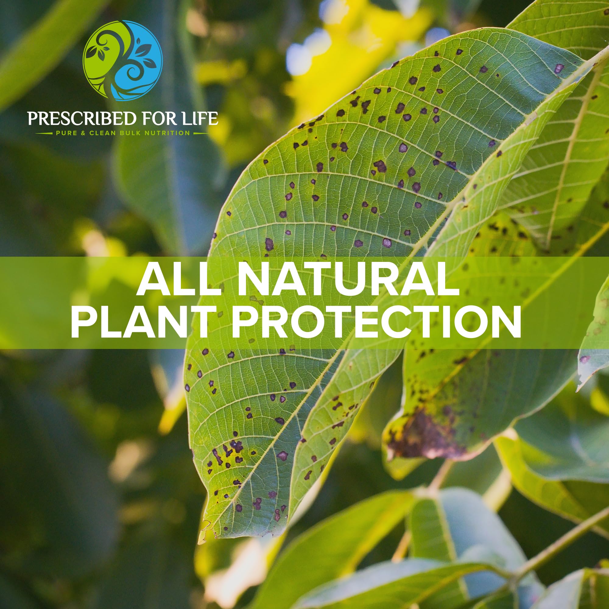 Gardening scene with potassium bicarbonate powder used for plant health
