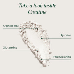 Primal Harvest Creatine Powder scoop image suggests precise dosing to fuel training sessions.