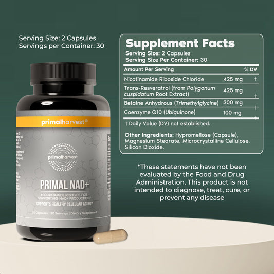 Primal Harvest NAD+ capsules closeup: easy-to-swallow daily supplement.