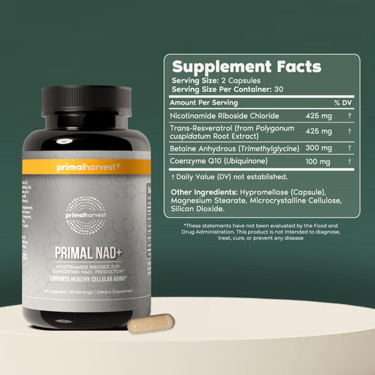 Primal Harvest NAD+ capsules close-up highlighting NR content