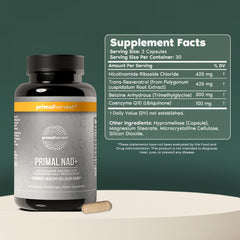 Primal Harvest NAD+ capsules close-up highlighting NR content