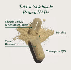 Primal Harvest NAD+ serving: two capsules per serving for NAD+ support.