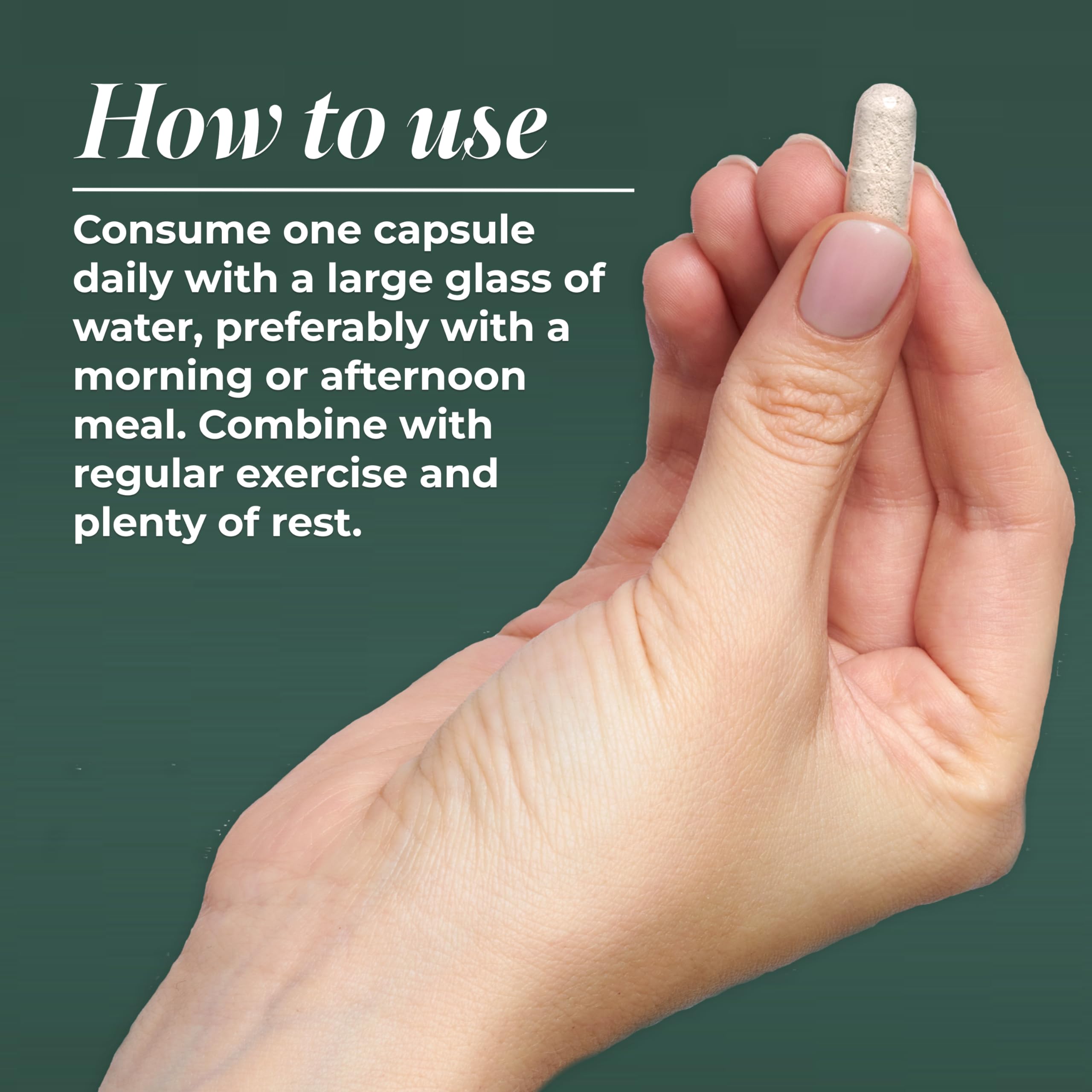 Primal Harvest Primal Multivitamin daily dosage illustration: one capsule.