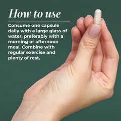 Primal Harvest Primal Multivitamin daily dosage illustration: one capsule.