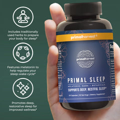 Serene bedside setup with Primal Sleep on the nightstand.