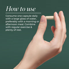 Primal Harvest Probiotics capsule close-up for daily gut health support.