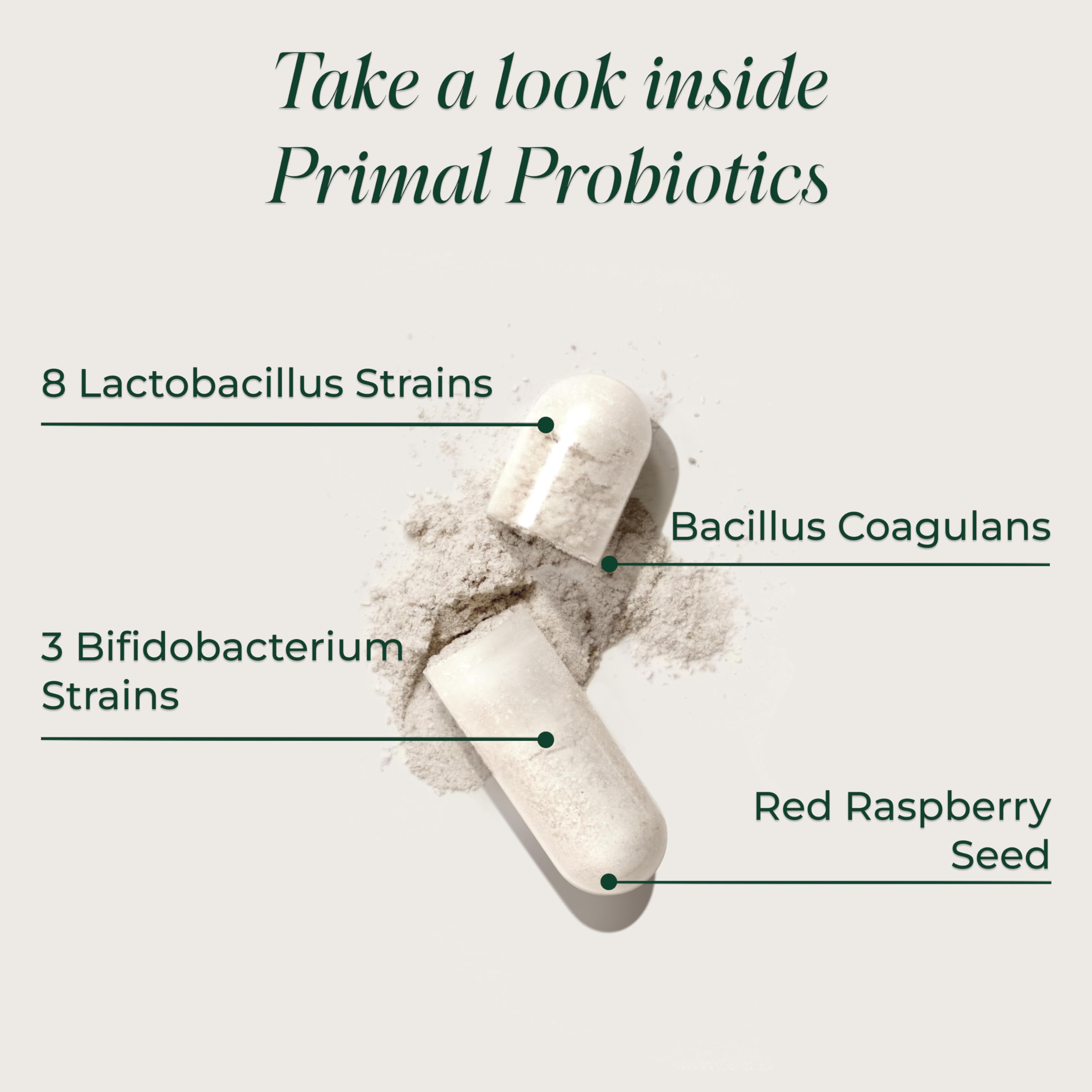 Primal Harvest Probiotics label and prebiotic blend highlighting diverse strains.