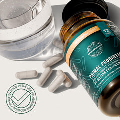 Primal Harvest two-pack graphic emphasizing value and consistent daily support.
