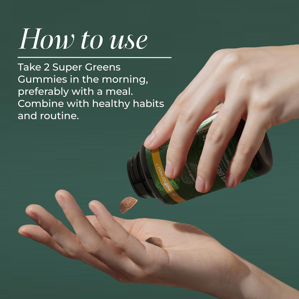 Primal Harvest mushroom blend with Reishi, Maitake, Cordyceps, Lion's Mane for focus.