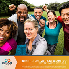 Brain health concept image linked to CogniForce for cognitive support.