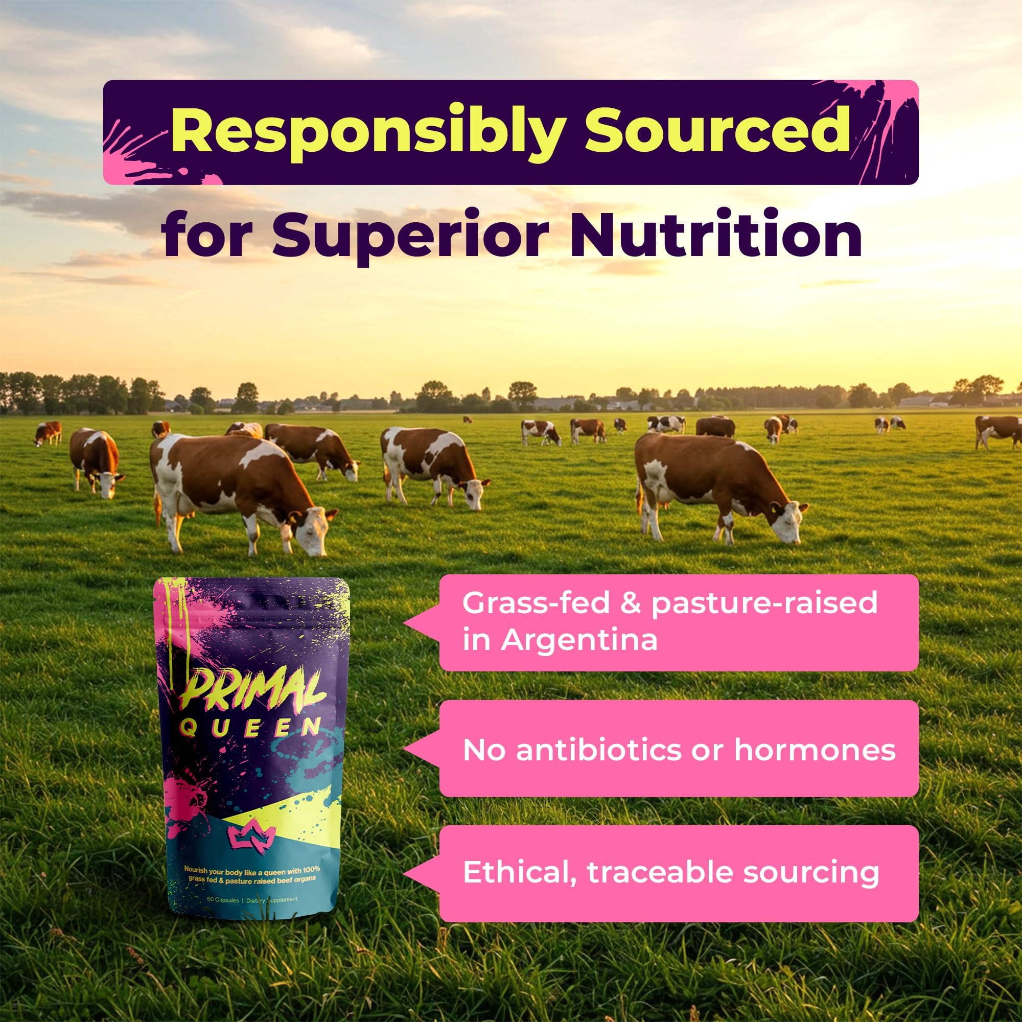 Primal Queen Argentinian cattle sourcing label communicates grass-fed origins.