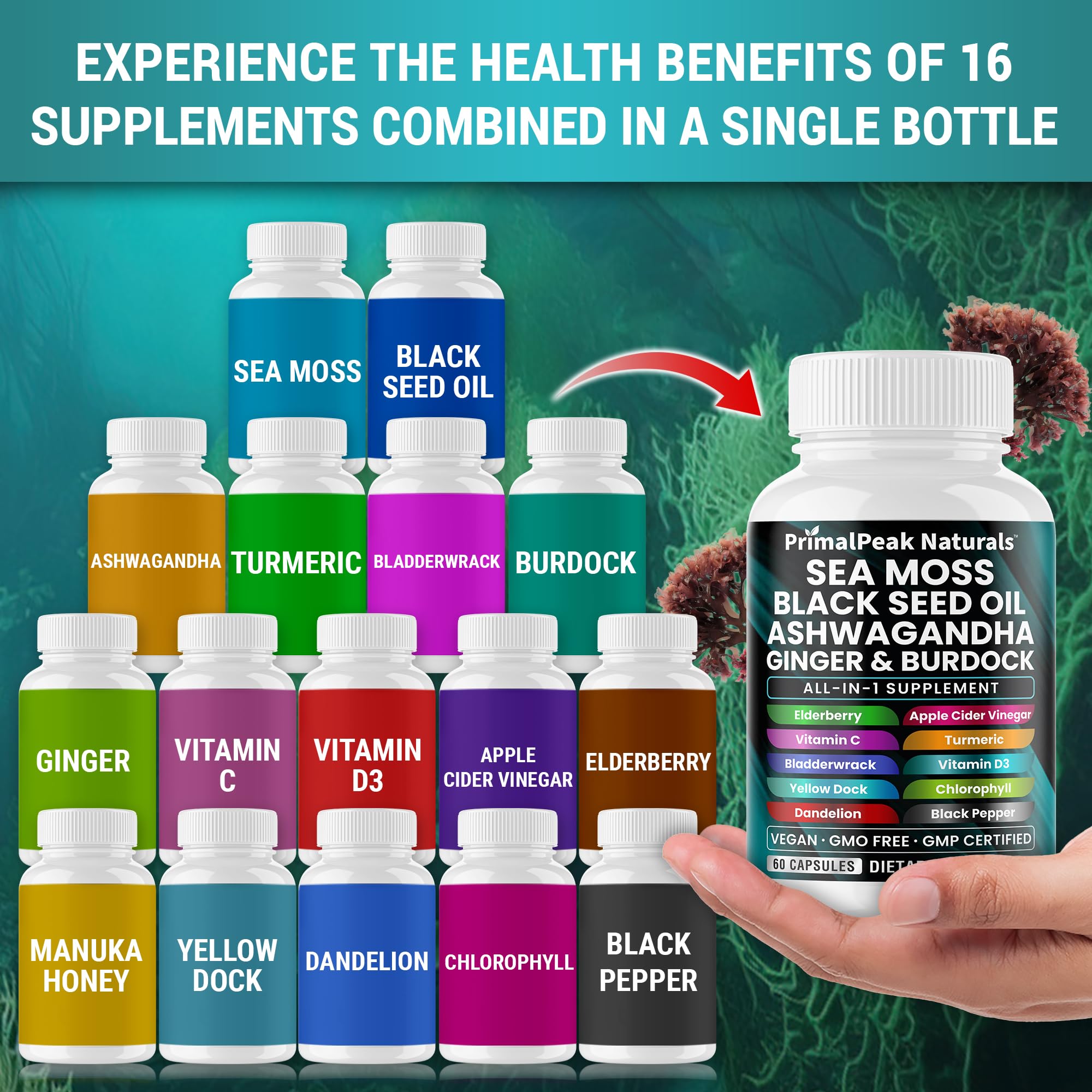PrimalPeak Naturals ginger-turmeric capsules with vibrant colors for digestive comfort