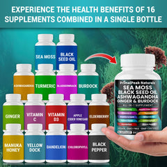 PrimalPeak Naturals ginger-turmeric capsules with vibrant colors for digestive comfort