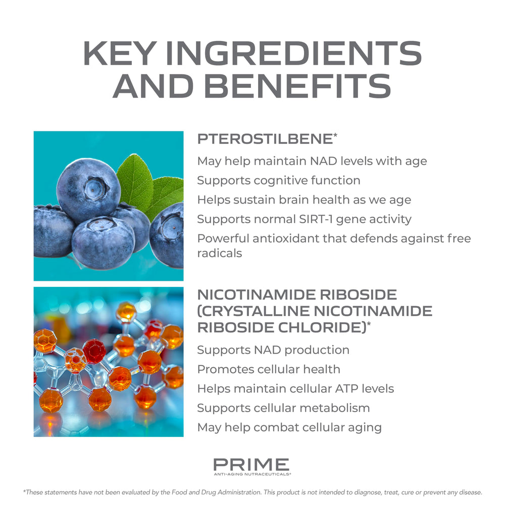 PRIME NAD+ daily-dosing illustration indicating simple once-daily routine.