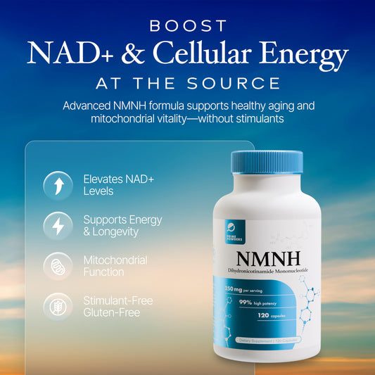 Prime Powders NMNH capsules closeup highlighting compact vegan formula.