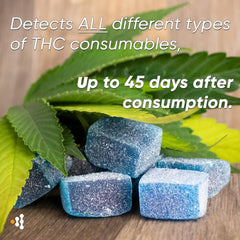 Prime Screen 25-pack kit offers affordable multi-level THC screening.