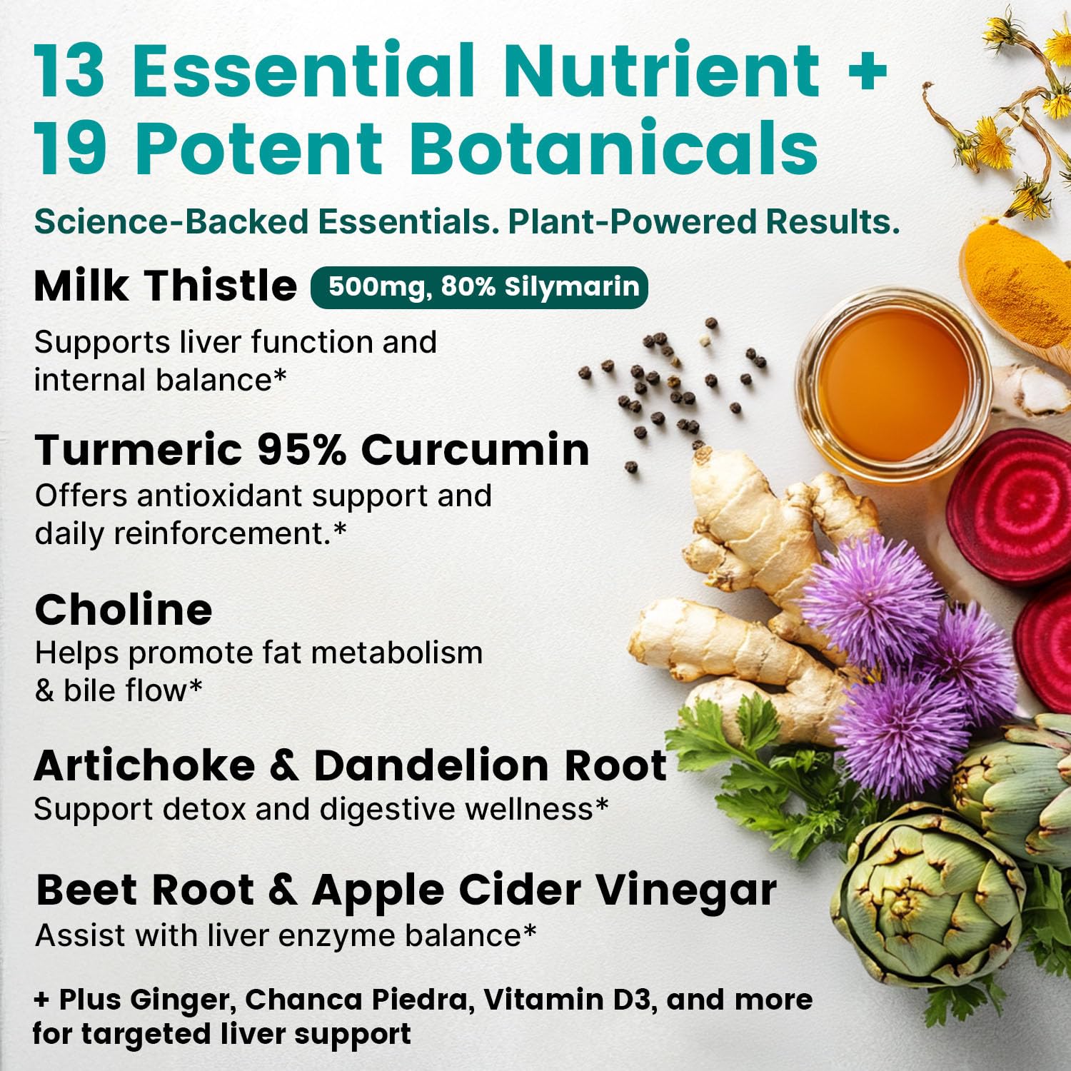PrimeMD artichoke extract ingredient close-up supporting bile production.