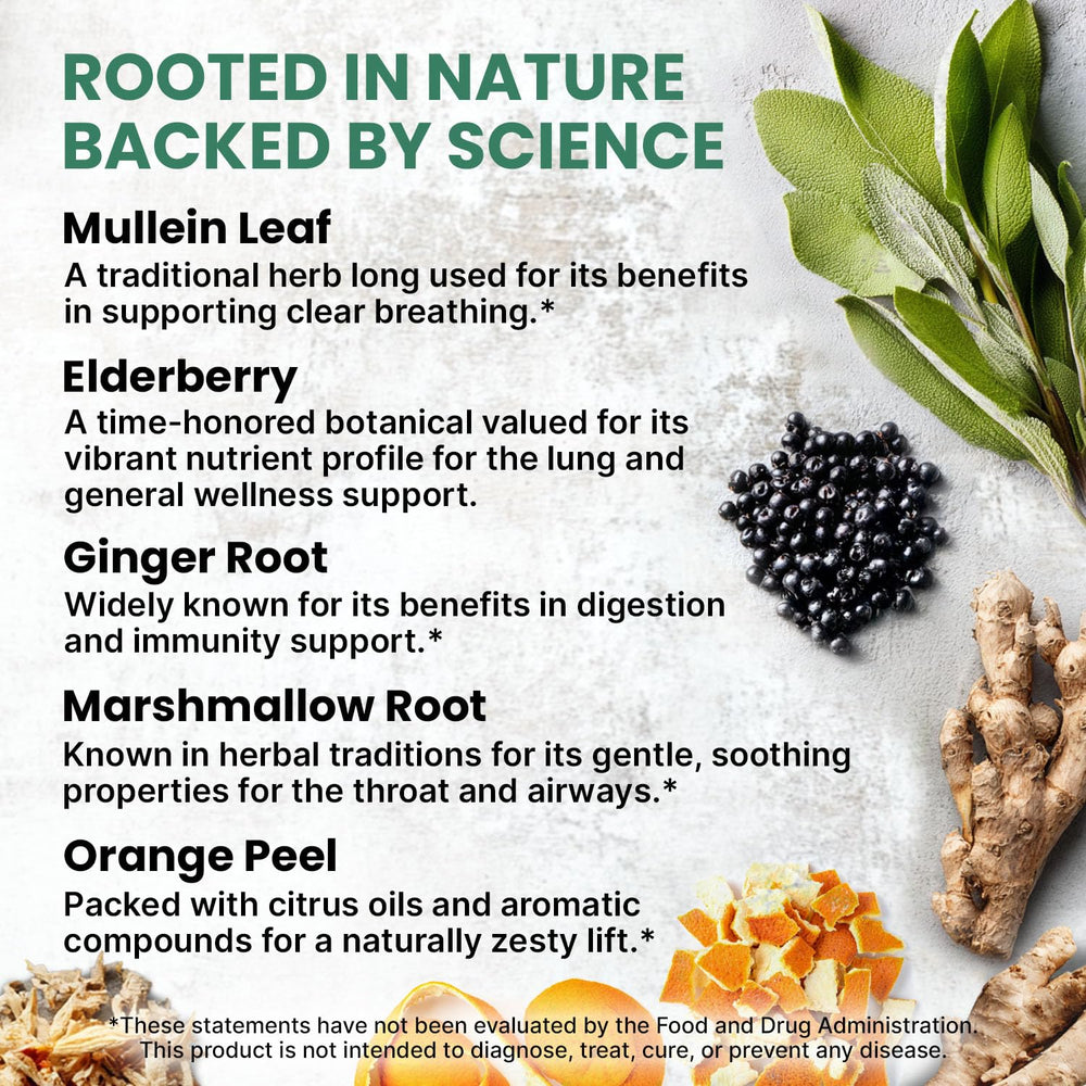 PrimeMD Mullein Drops with elderberry and ginger for seasonal wellness.