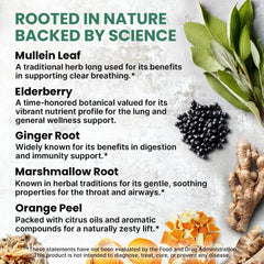 PrimeMD Mullein Drops with elderberry and ginger for seasonal wellness.