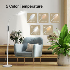 PRIMETEK Light Lamp offers five color temperatures for tasks