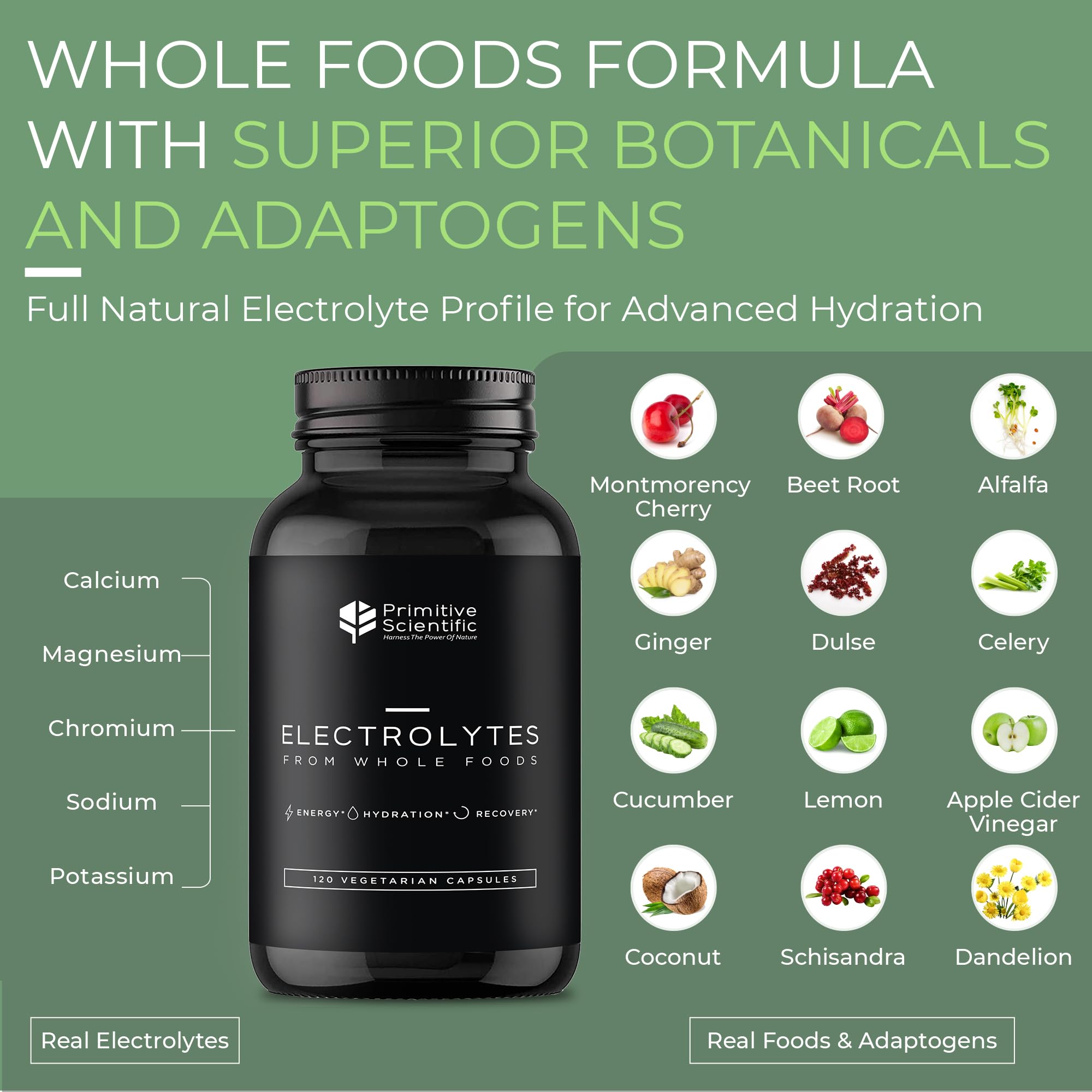 Primitive Scientific electrolyte capsules ingredients-di-magnesium-malate showcase plant-based minerals for balanced support.