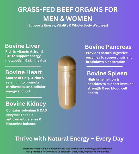 PrimoNourish capsules close-up highlights convenient daily energy and vitality support.