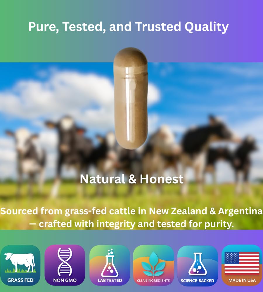 PrimoNourish energy and digestion emphasis visual communicates natural metabolism support.