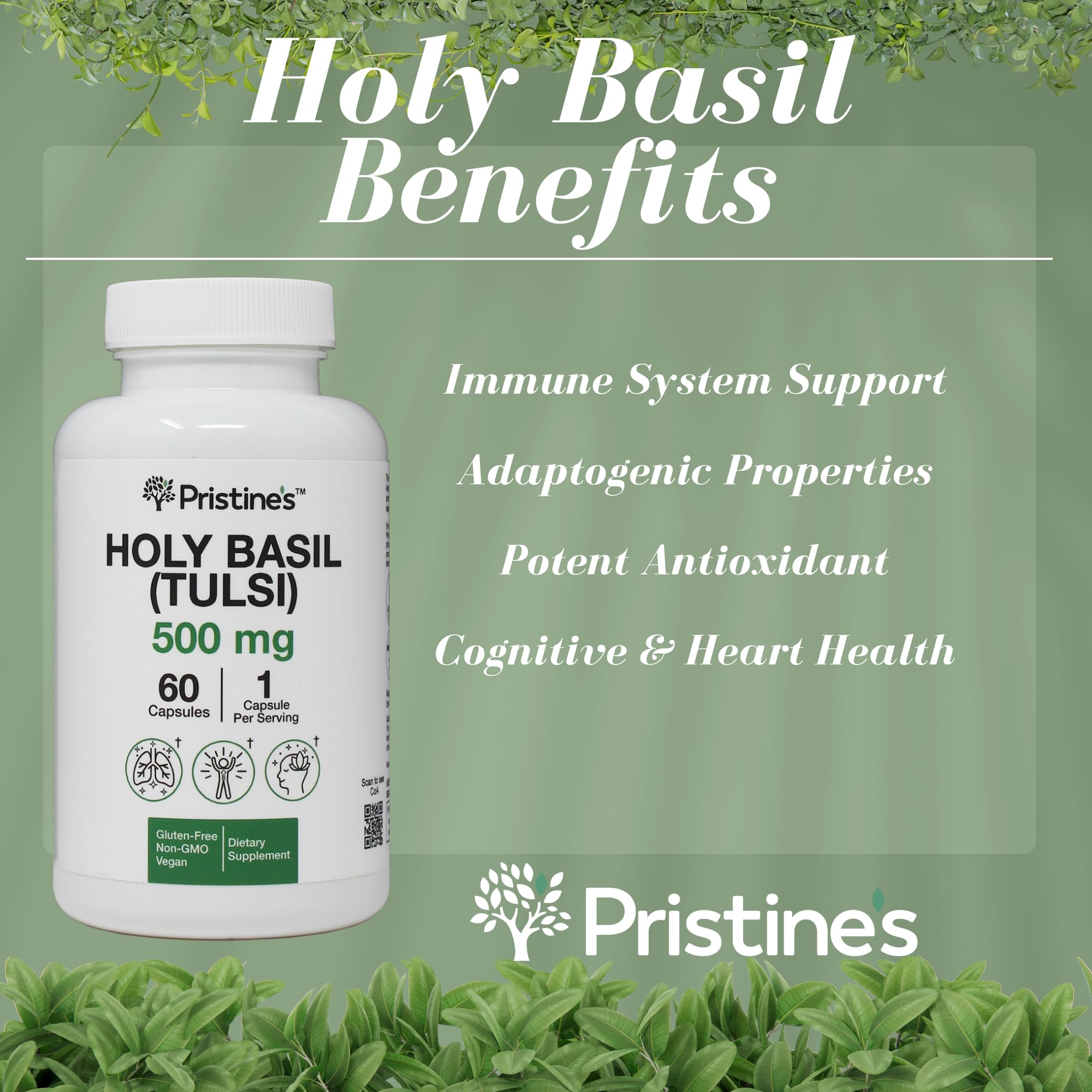 Three-pack PRISTINE'S Holy Basil box demonstrates long-term value for balanced wellness.