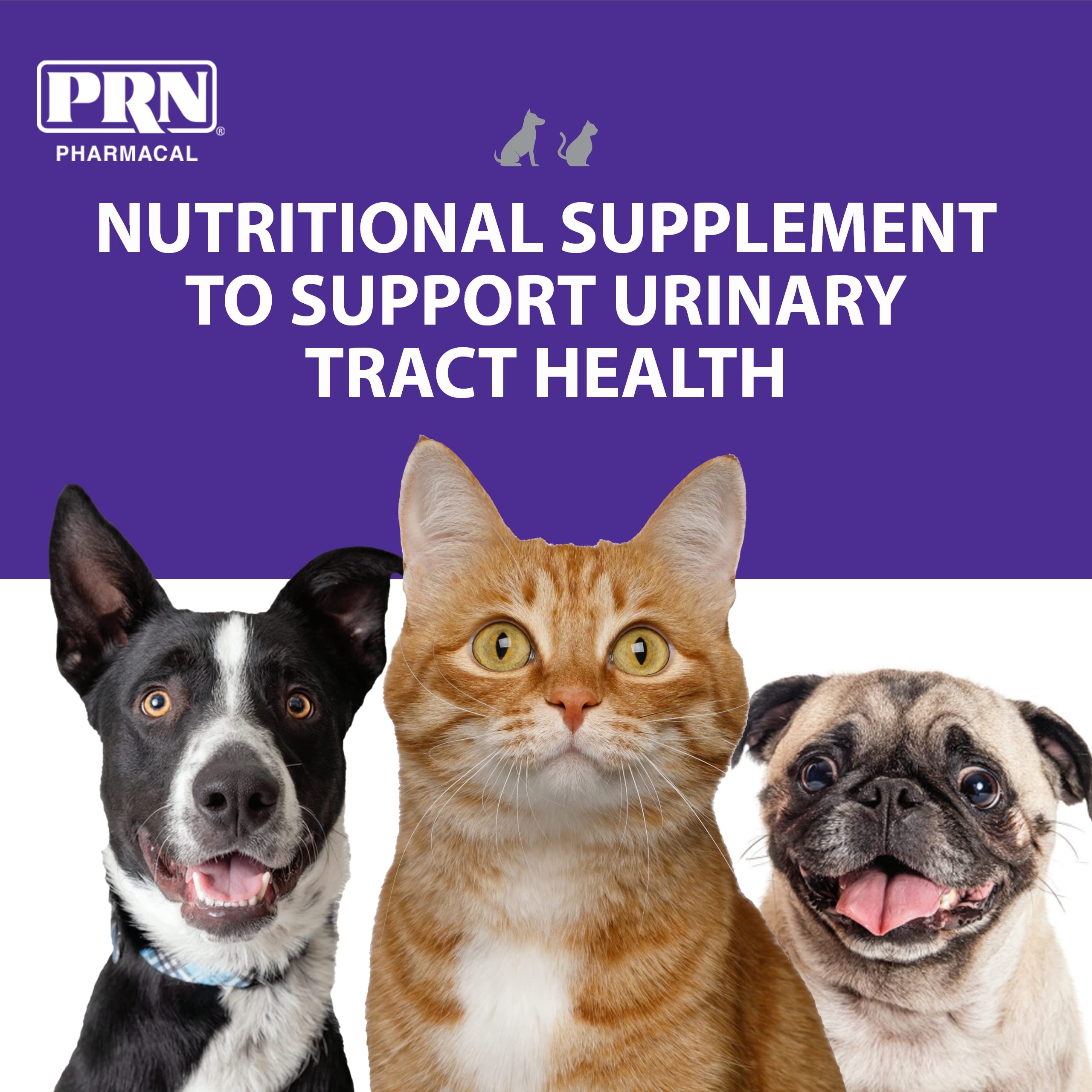 PRN CranMate dog tablet dosing demonstrates simple daily supplementation