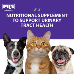 PRN CranMate dog tablet dosing demonstrates simple daily supplementation