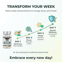 Probase Nutrition Longevity NMN packaging emphasizing purity and quality
