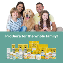 Probiora Health benefits for gum health and balance at the gumline.