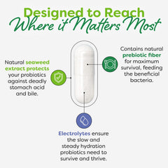 Probulin Women's Probiotic daily-use scene depicting a simple routine.