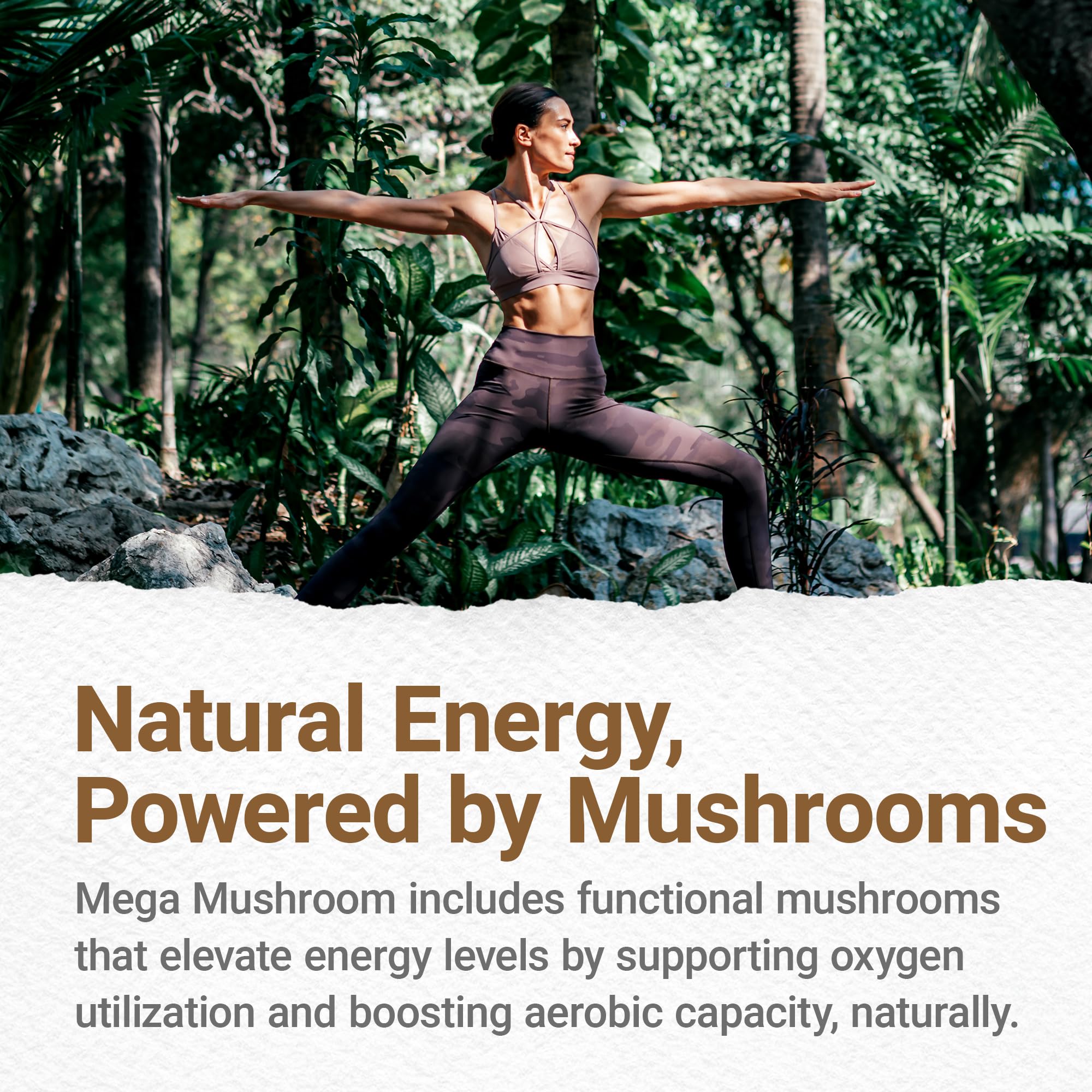 Procera Mega Mushroom brain graph suggests mental clarity benefits.