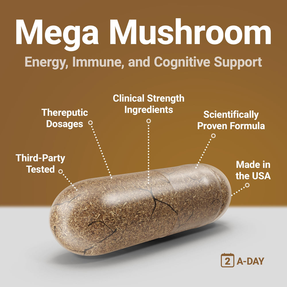 Procera Mega Mushroom ingredients graphic illustrates Lion's Mane and friends.