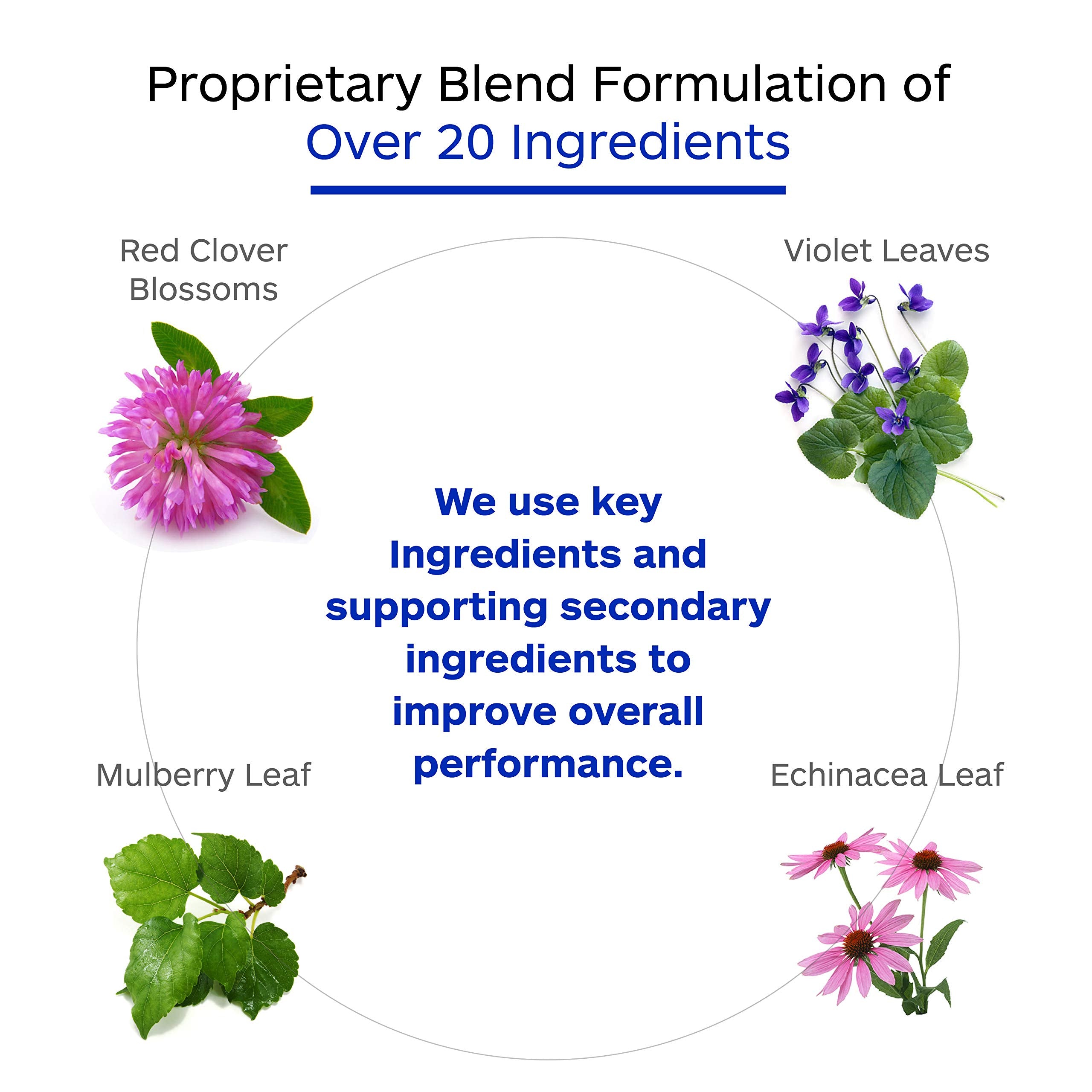 Professional Botanicals vegan capsules close-up for easy daily wellness.