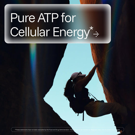 Longevity ATP packaging shows 3-pack savings and convenience.