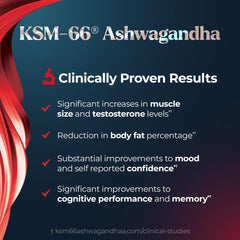 Promescent Tribulus Terrestris capsules for endurance potential.