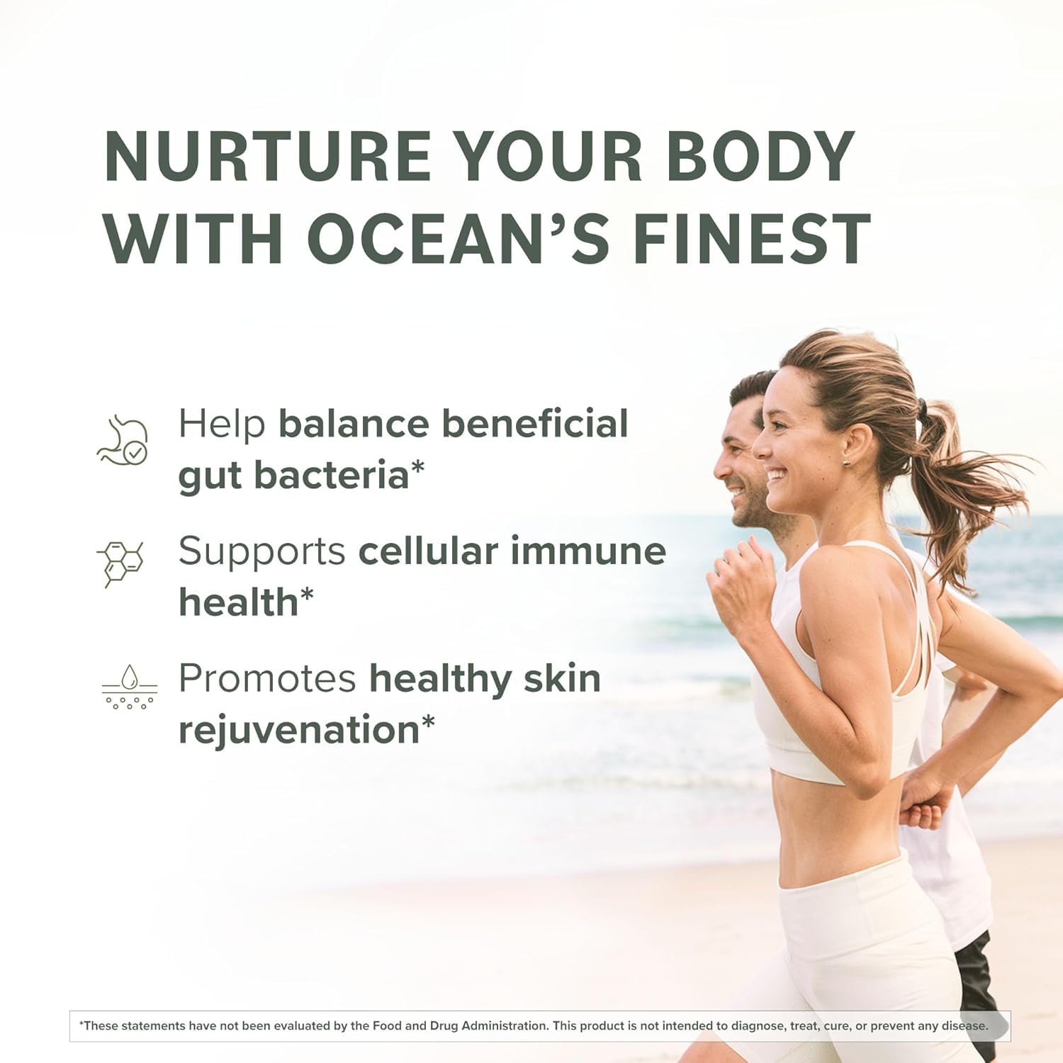 Prominent Nutrition Fucoidan brown seaweed extract close-up.