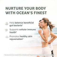 Prominent Nutrition Fucoidan brown seaweed extract close-up.