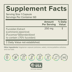 Fucoidan capsules show potential immune support for daily wellness.